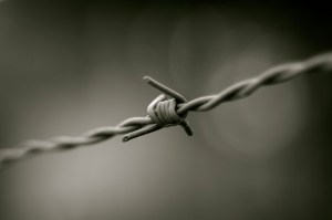 barbed wire