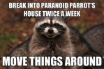 evil plotting raccoon meme