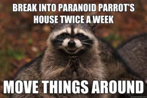 evil plotting raccoon meme
