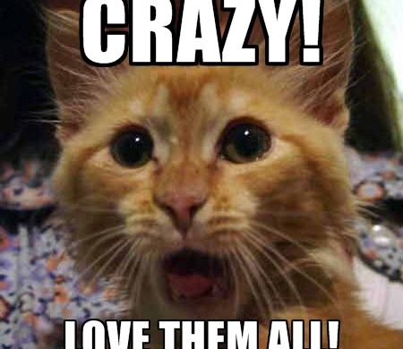 random thursday crazy kittteh meme