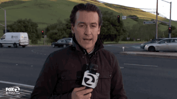 car vs reporter