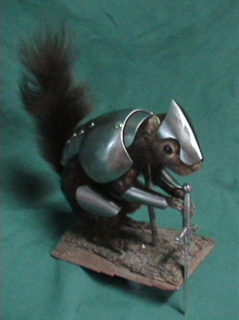 armored-squirrel-3