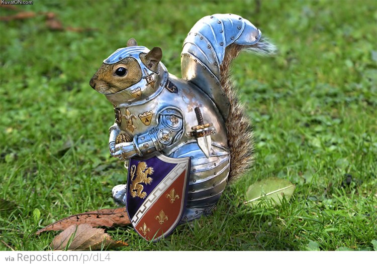 armored-squirrel-with-shield