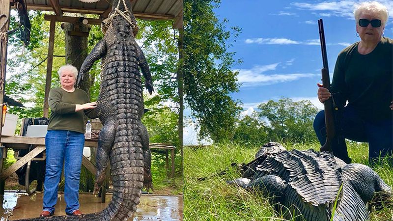 texas grandma kills alligator avenging death of her miniature horse