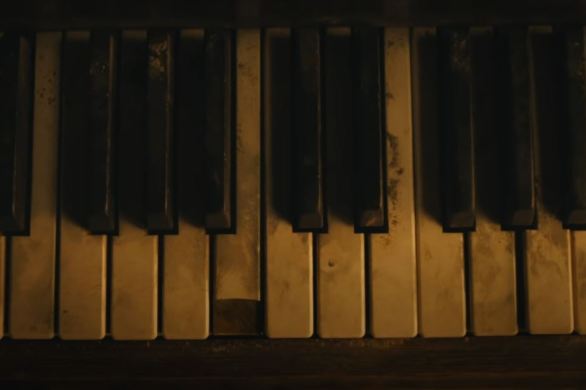 cardigan taylor swift